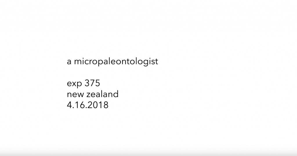 Exp 375 - a micro-paleontologist