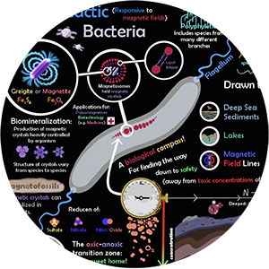 Magneto-Tastic Microbe Poster