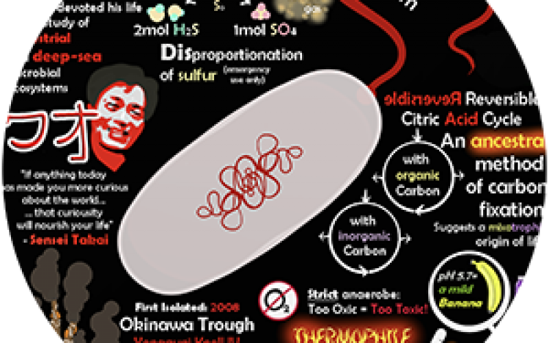 Sensei Microbe Poster