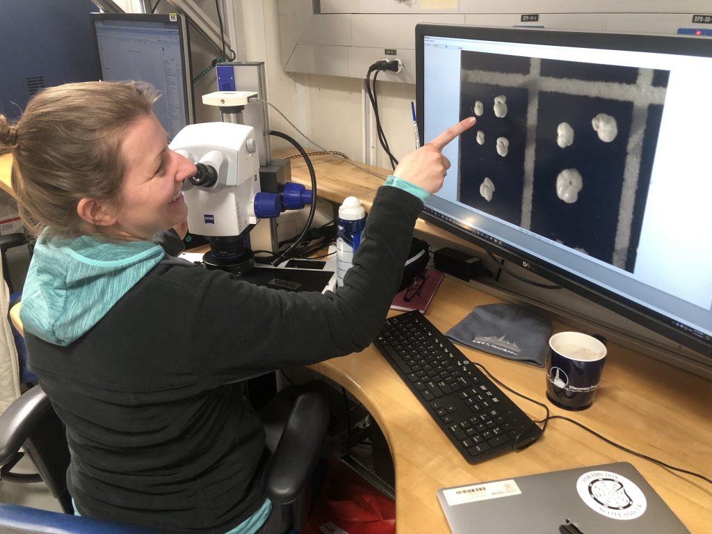 Career Spotlight: Micropaleontologist Anieke Brombacher