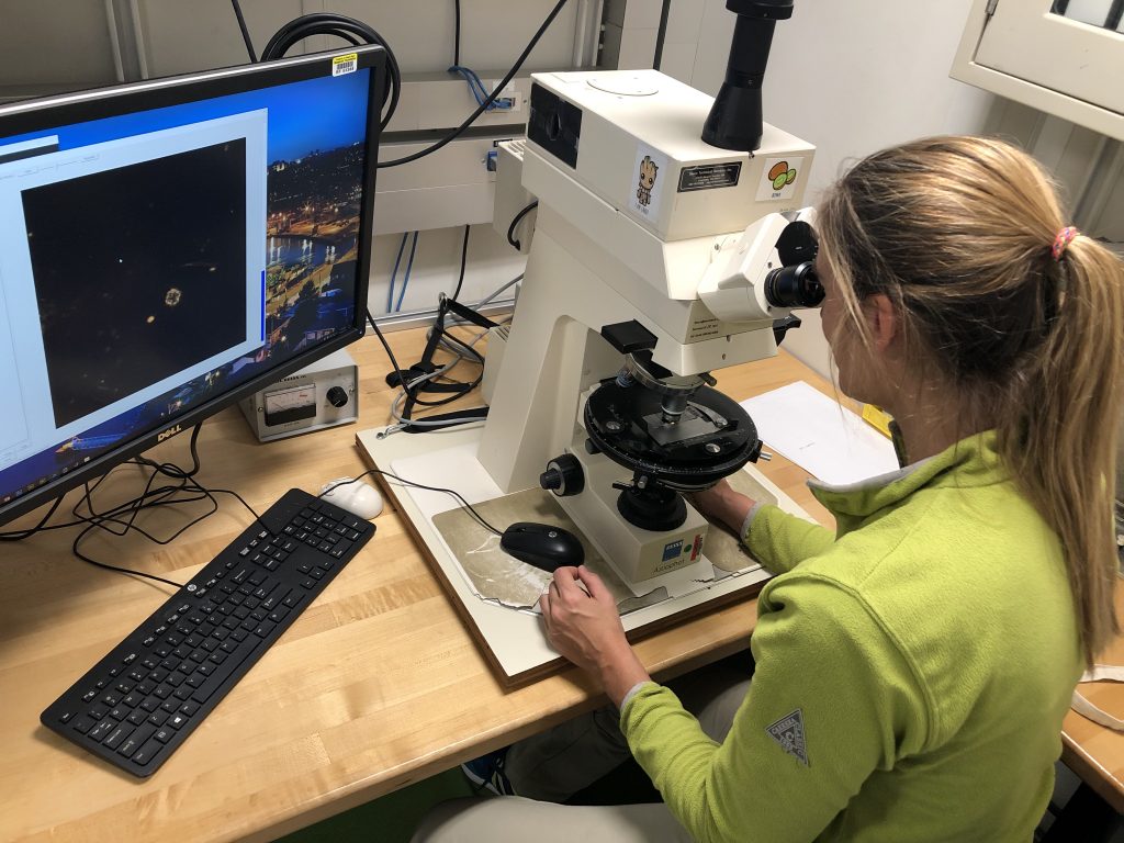 Career Spotlight: Micropaleontologist Elisa Malinverno