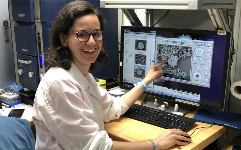 Career Spotlight: Paleontologist Mariem Saavedra Pellitero