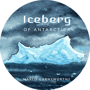 Iceberg of Antarctica Book