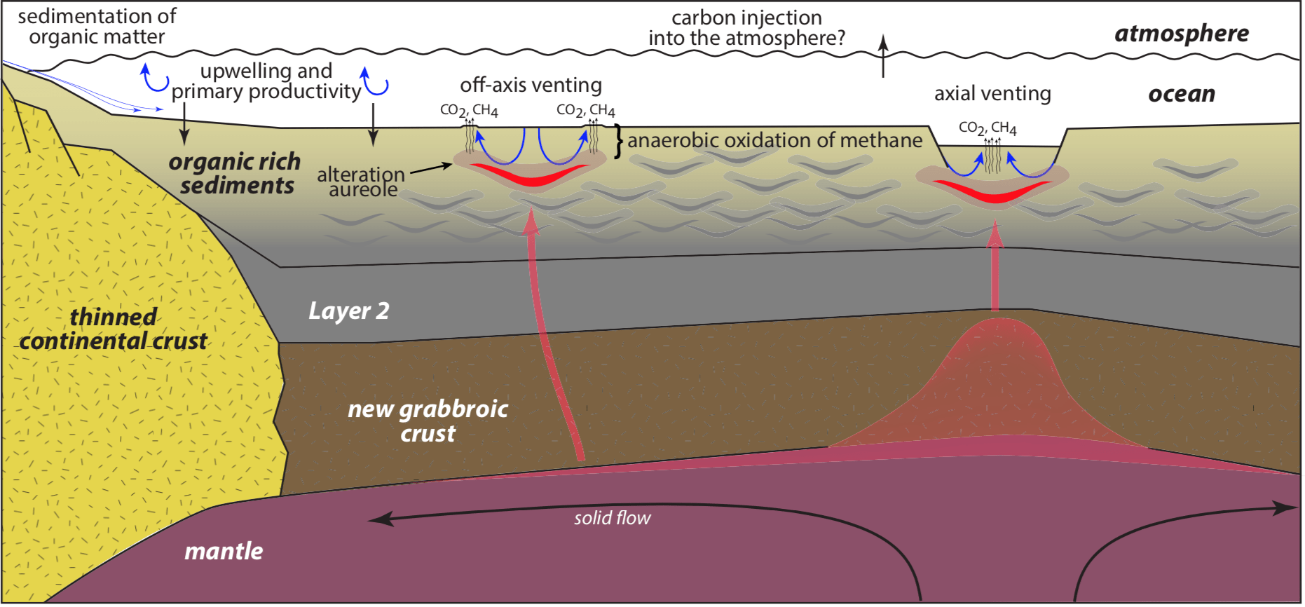 Integrated sedimentological, tectonic, magmatic, and microbial processes at work in Guaymas Basin and the associated carbon pathways. (From A. Teske et al. 2018)