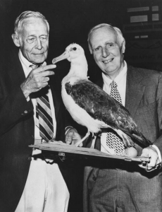 A black and white photo of two men holding a large taxidermied albatross. The man on the right is looking at the camera and smiling. The man on the left is looking at the albatross with a neutral expression and reaching up to touch its beak.