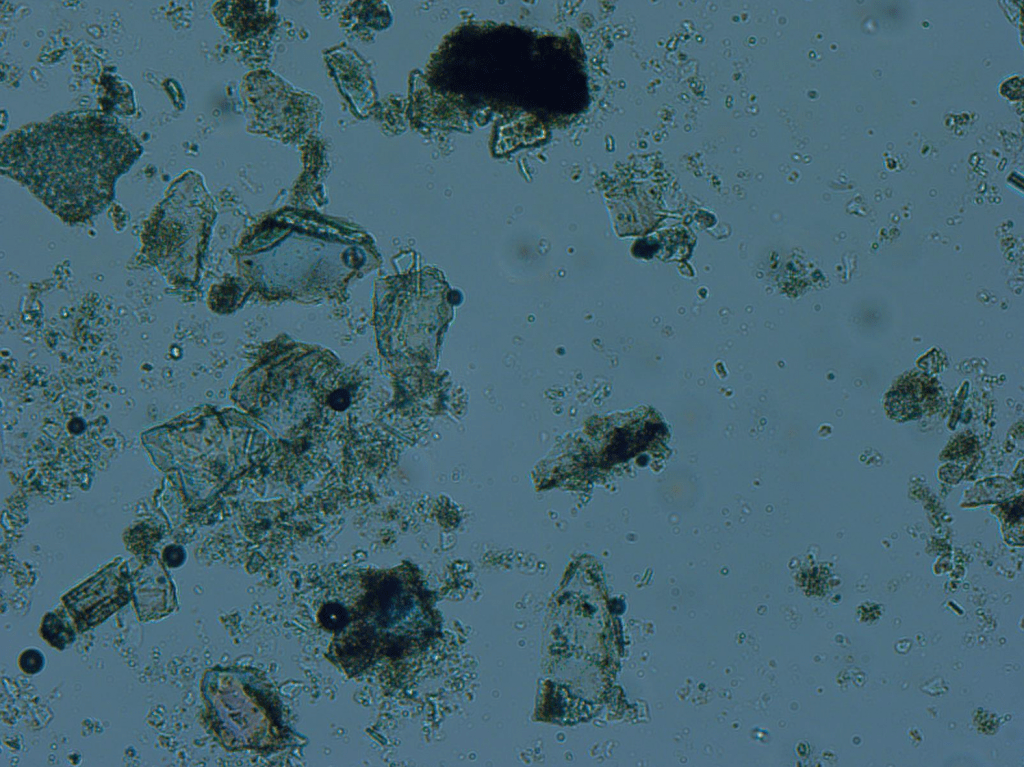 An image taken through a microscope. The background is blue and there are several transparent grains in the field with a few black opaque grains. There is a scale bar at the bottom that indicates 1 millimeter. Most grains look to be between 1/6th and 1/100th of a millimeter.