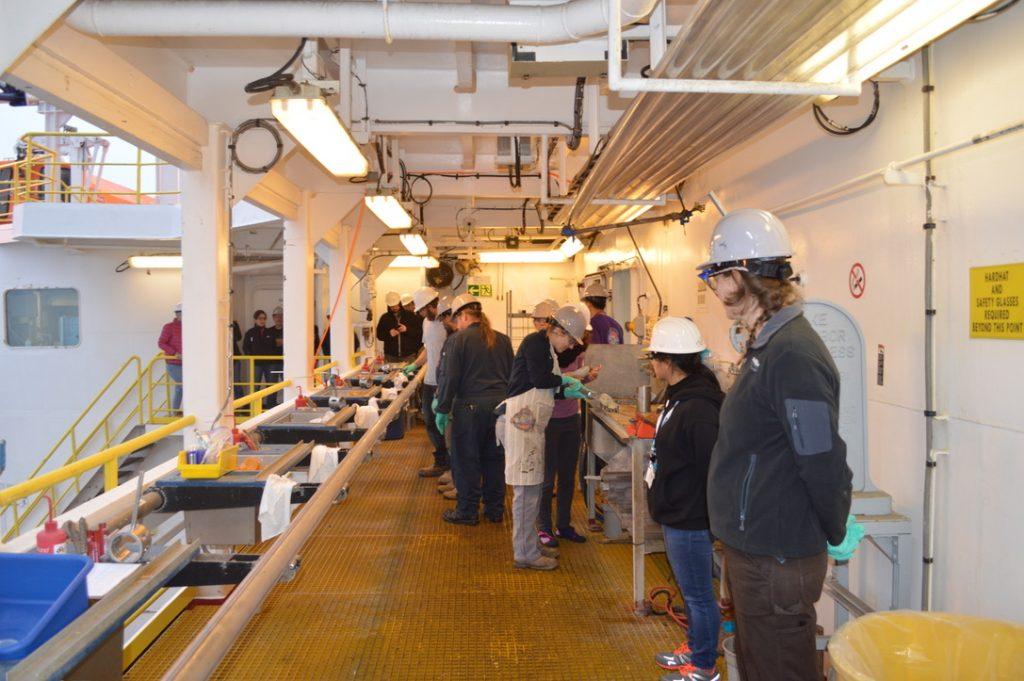 A core of sediment, encased in a long clear tube, sitting in holders on the catwalk. The tube is half full of water, half sediment. There are several people standing along a wall looking at the core.