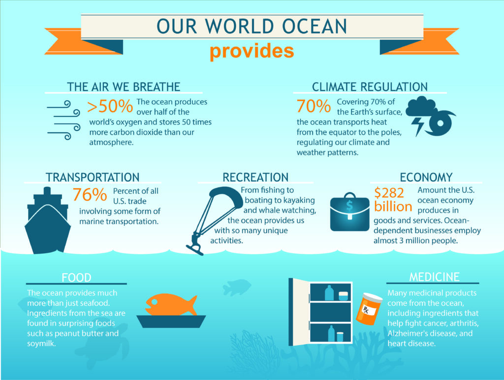 our ocean and multiple categories 
