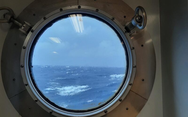 The Many Surprises of Life at Sea