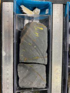 Picture of a core half showing a dark gray basalt with a black chilled rim at the top, with several empty vesicles and pistachio-green in-filled pipe vesicles.