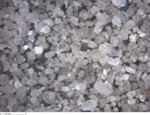 An image showing many clear jagged crystals of rock and 2 foraminifera fossils