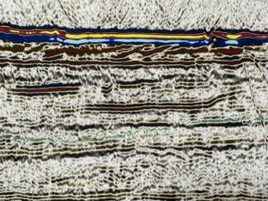 An image of sediment layers shown as lines, constructed from seismic data. Different colors would indicate different sediment densities.