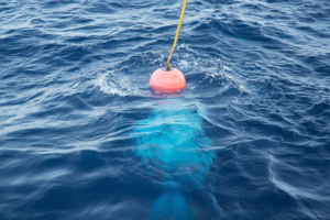 An inflatable red ball attached to a yellow rope bobs in the water.