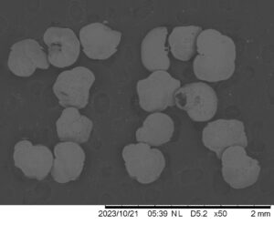 SEM image of the letters JR spelled out in foraminifera.