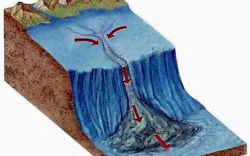 The Evidence is Piling Up… On the Seafloor