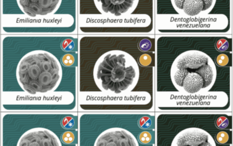 Tiny Giants: Microfossils Preserve Earth’s Secrets